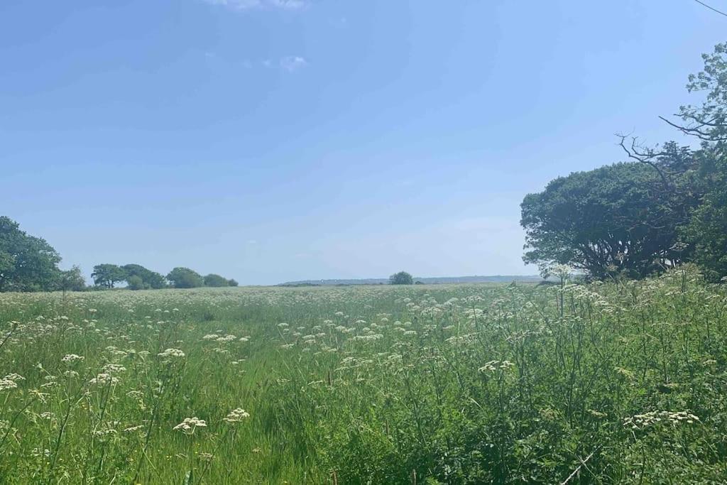 Lily S Pad - Private Retreat In Lymington, New Forest Lymington
